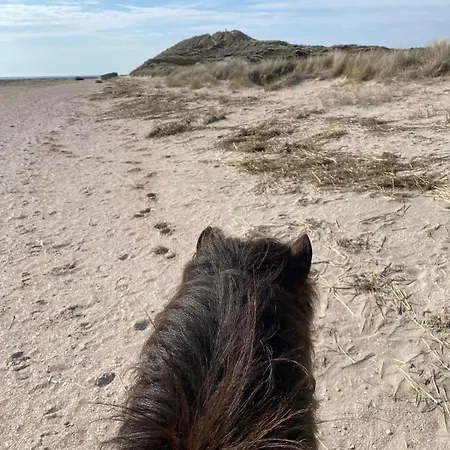 Blockhuette Nordsee Tiere Spielplatz Apartment Fano